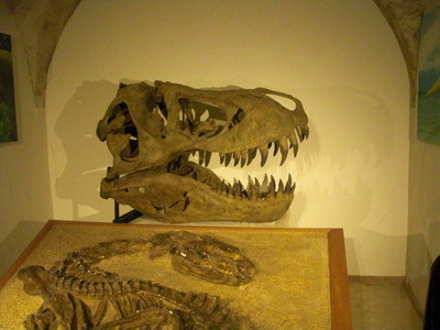 T. rex